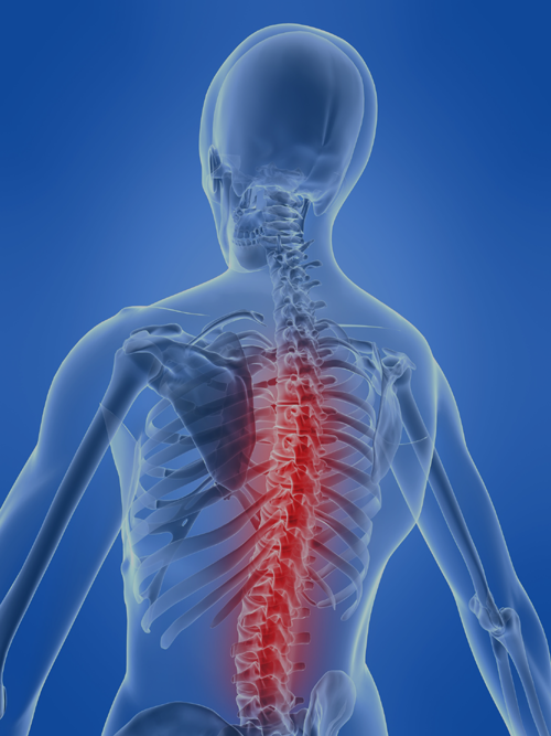 what causes back pain?